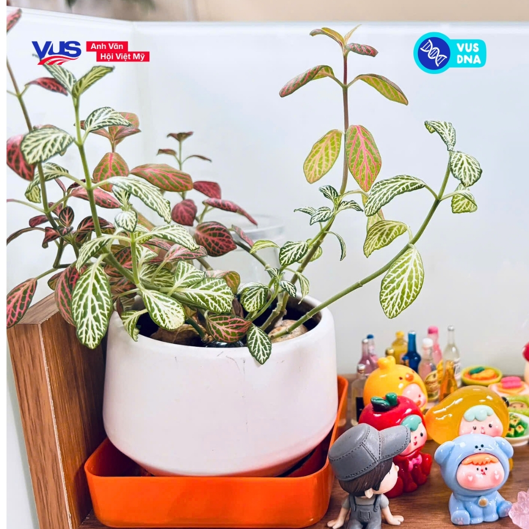 CLB Làm Vườn tại VUS – Một góc xanh, một điểm nghỉ cho tâm trí